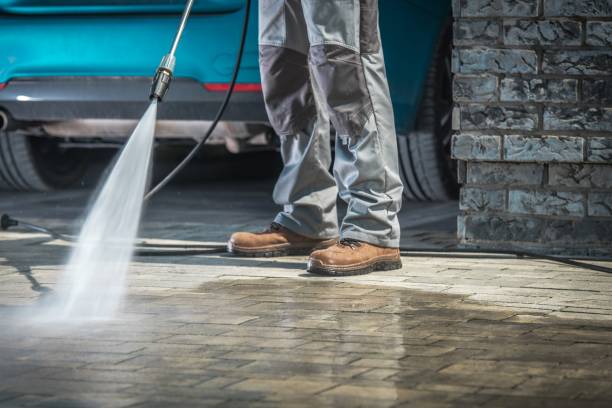 Best Animal Enclosure Cleaning  in Bell, CA